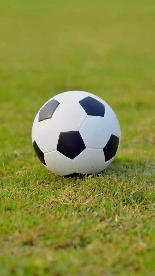 篮球爱好者观赛场景