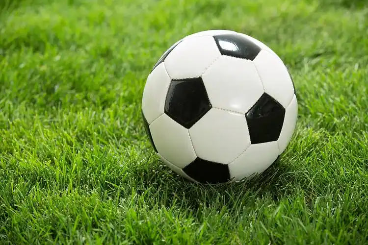 教练团队战术分析